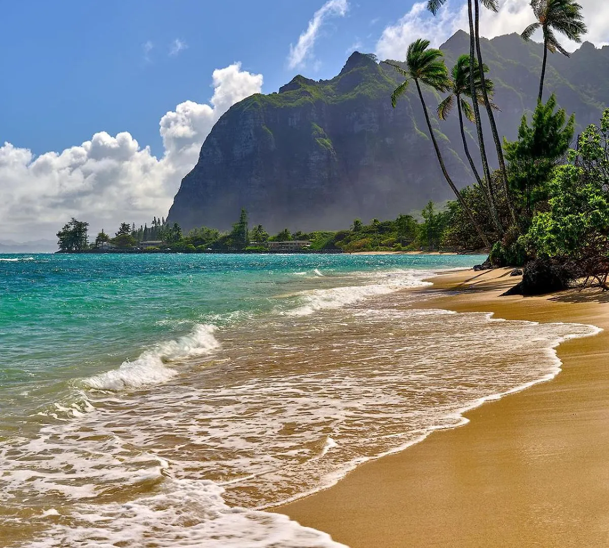 Free Parking Comfy Central Waikiki Гонолулу США